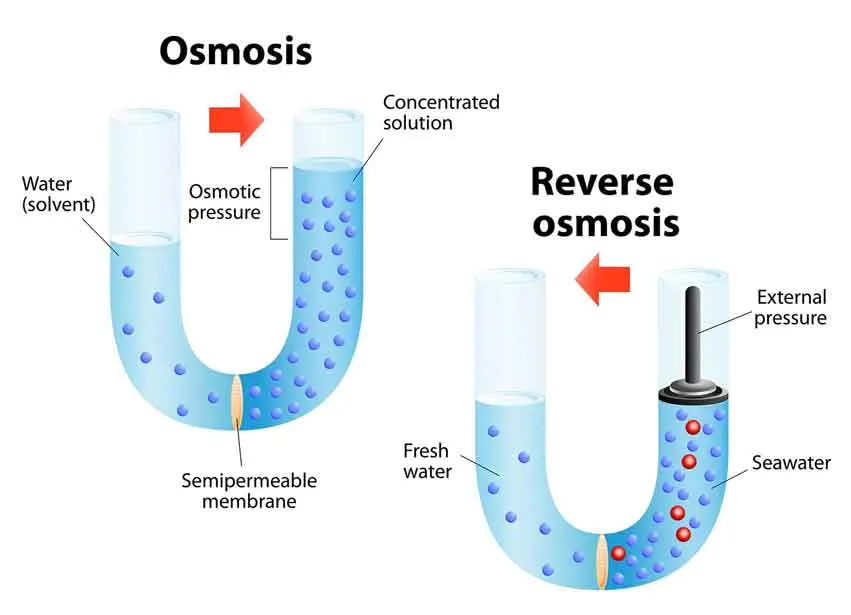 Commercial Replacement Filter Cartridge RO Membrane RO Filter for Reverse Osmosis Water Treatment System Reverse Osmosis Water Filter