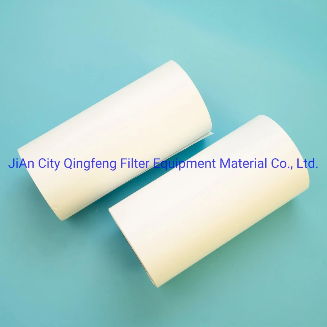 100% Flushed with Ultra-Pure Di Water and Are Integrity Tested 0.65um Pes Filter Membrane for Food and Beverage